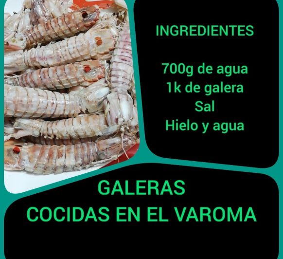 GALERAS COCIDAS AL VAPOR